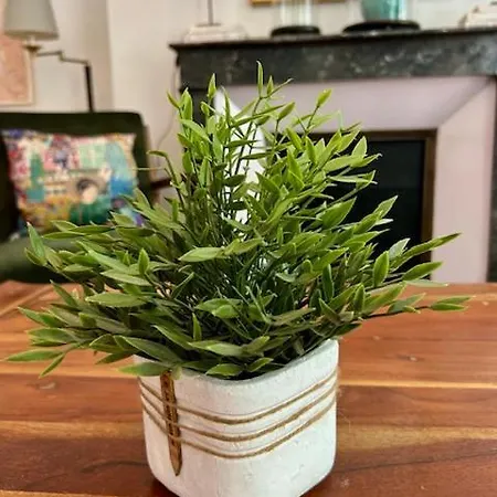 - Grand - Centre Parking Gratuit